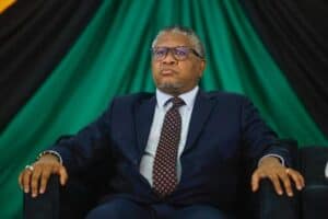Fikile Mbalula
