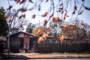Melgisedek illegal occupants stranded after courts block tent camp move