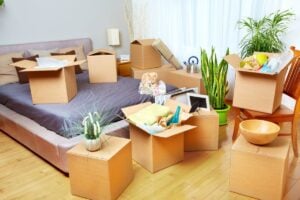What hoarders' homes and lucky packets have in common
