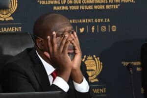 Mkhwanazi ad hoc committee Andrea Johnson