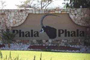 Section 89 panel report: Court questions evidence that Ramaphosa engaged in paid work at Phala Phala