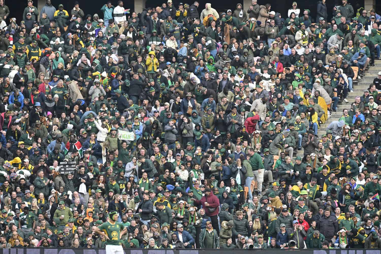 Springbok fans
