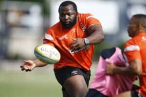 Sharks prop Ox Nché