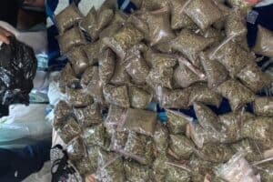 Major drug bust worth R87k