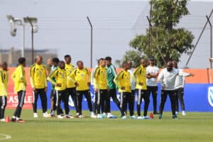 The toxic support for Bafana Bafana needs to stop
