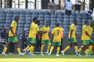 Bafana Bafana v Guinea Player Ratings