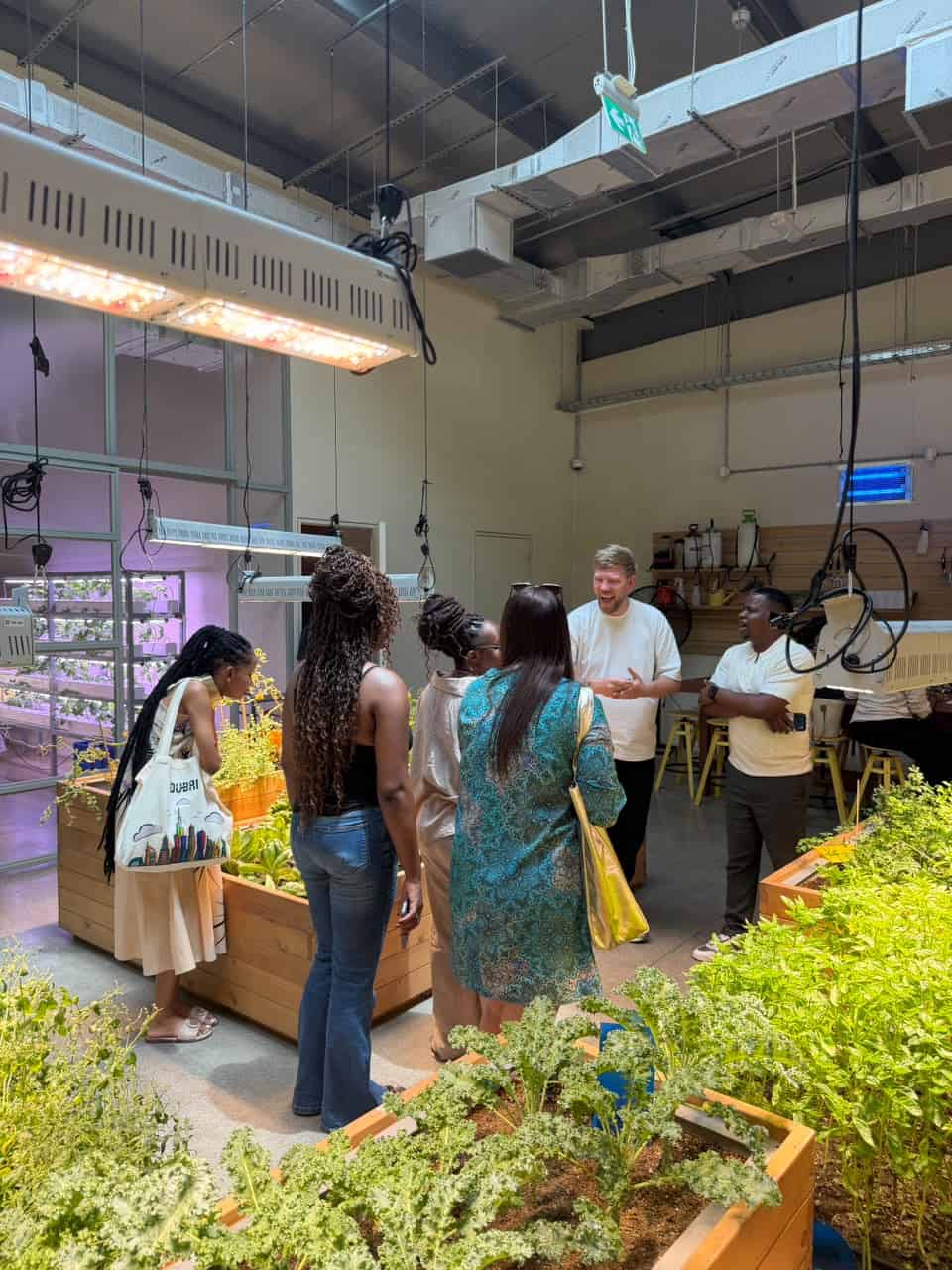 Forget the skyscrapers: Dubai's tea culture is what actually wins you over