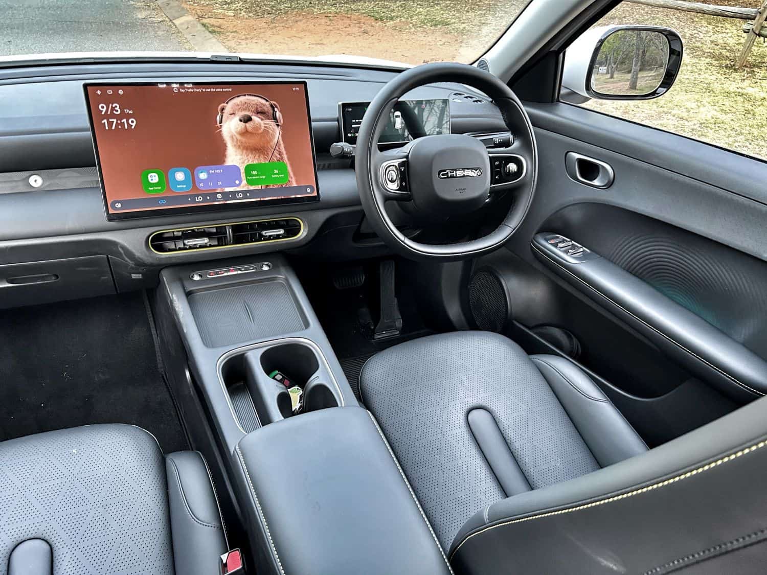 Chery Q