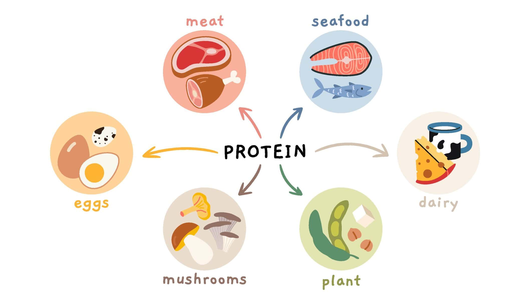 High-protein everything: How SA's weight-loss obsession is reshaping the snack aisle