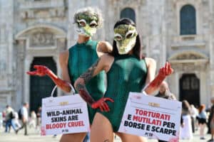 Members of PETA