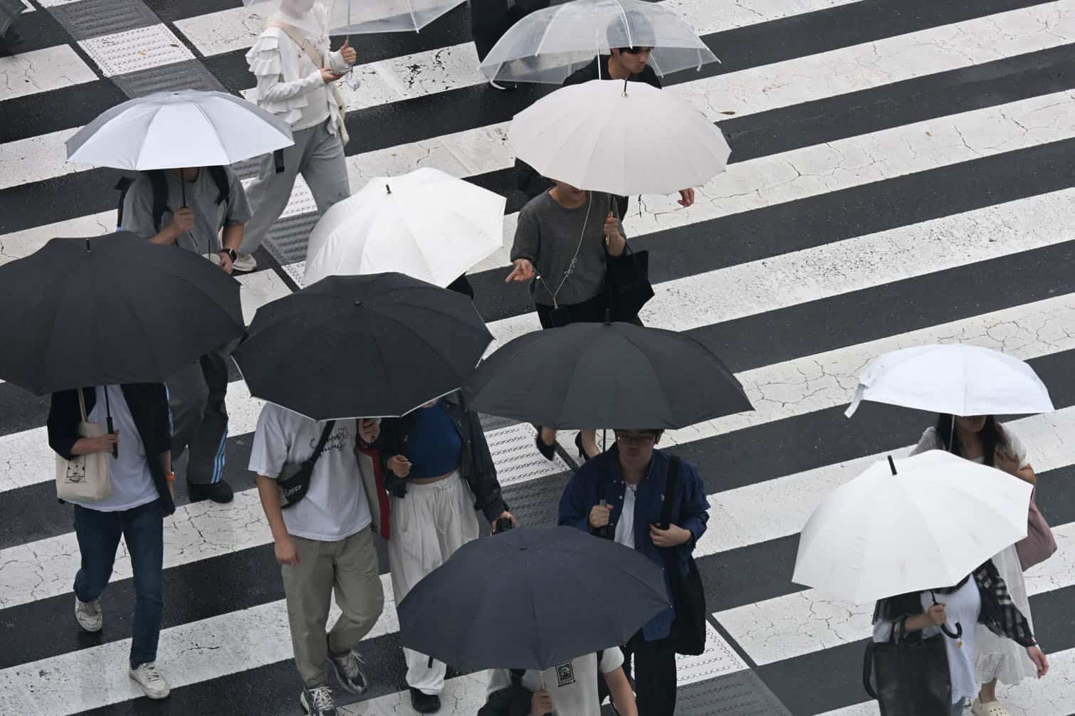 Pedestrians cross a road using umbrellas at the Shinjuku district in Tokyo on September 29, 2026, as strong Typhoon Surigae approaches Japan. (Photo by Toshifumi KITAMURA / AFP)
