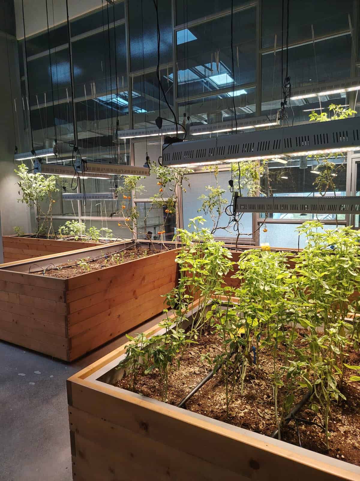 Lunch with Kelvin Kelly: The South African chef growing his own menu in Dubai