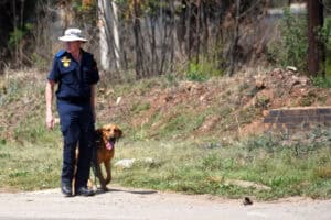 A K9 officer walks near the crime scene