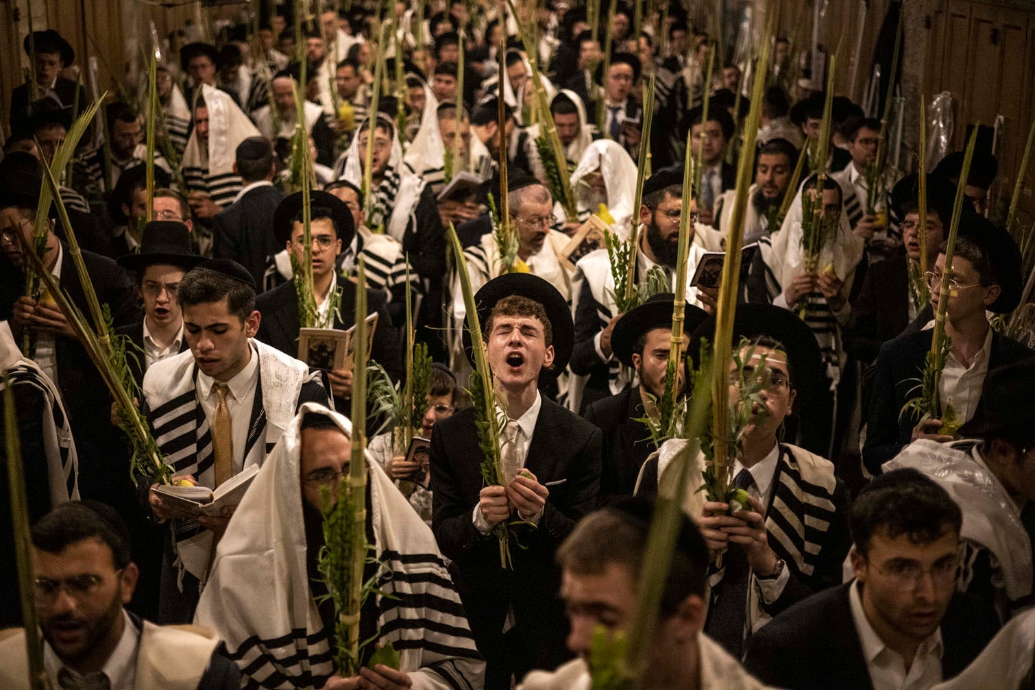 Orthodox Jewish men pray before the Bab al-Qattanin (Cotton Merchants) gate of the Aqsa compound during morning prayers for Sukkot, the Feast of the Tabernacles, in the old city of Jerusalem on September 28, 2026. Thousands of Jews annually make the pilgrimage to Jerusalem during the week-long harvest holiday of Sukkot, which commemorates the desert wanderings of the Israelites after the biblical exodus according to Jewish tradition. (Photo by JOHN WESSELS / AFP)