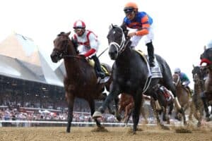 Horses racing