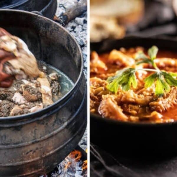 Tripe stew recipe mogodu Inyama yesisu