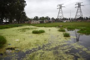 'I am literally dying': Boipatong resident battles raw sewage