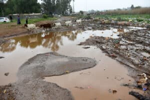 Sewage crisis chokes South African communities