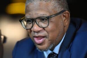 Nkosazana Dlamini-Zuma Mbalula ANC vote buying