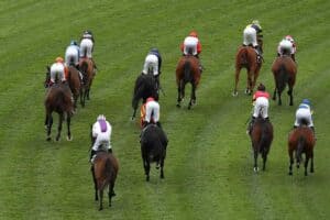 GPS tracking in horses