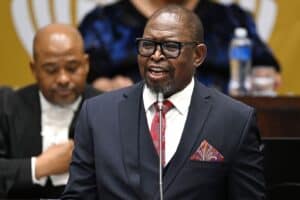 Godongwana economic growth