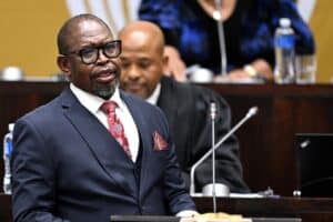 Godongwana fuel levy budget