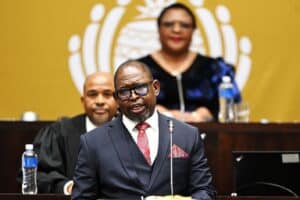Godongwana-government-spending