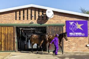 Hollywoodbets horses Life After Racing programme.