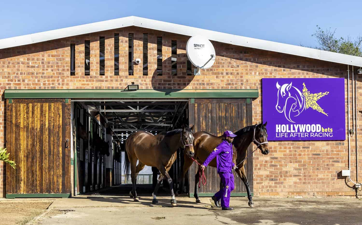 What happens when a racehorse retires? Legends get a second life thanks to Hollywoodbets