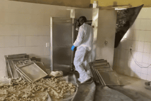 Four suspects arrested as police uncover drug lab near Harties