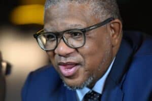 In case you missed it mbalula