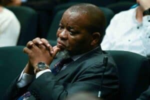 Mantashe irks Cosatu congress as delegates decry ANC's 'Big Brother' attitude