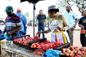 Limpopo small businesses struggling ahead of local government elections