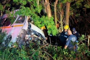 Ten killed, 5 injured in horror after minibus taxi crashes into tree