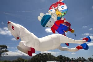 32nd Cape Town International Kite Festival