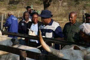 Limpopo MEC for Agriculture and Rural Development Basikop Rodgers Makamu