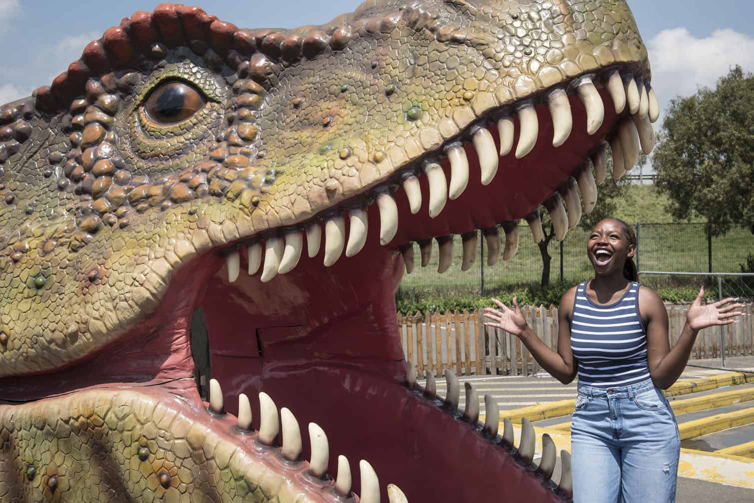 24 hours in pictures: Brussels austerity protests, dinosaurs visit ...