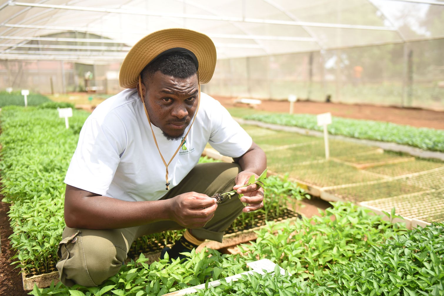 P Agricultural Group founder Phetole Raseropo inspects his jalapeño seedlings at the community food garden in Soweto, 18 October 2026. P Agricultural Group placed third in Shoprite’s inaugural Act For Change Food Garden Competition, selected from nearly 600 entries. With the rising cost of living putting pressure on household budgets, community food gardens help people grow their own food, learn new skills and explore opportunities to earn an income. Picture: Nigel Sibanda/The Citizen