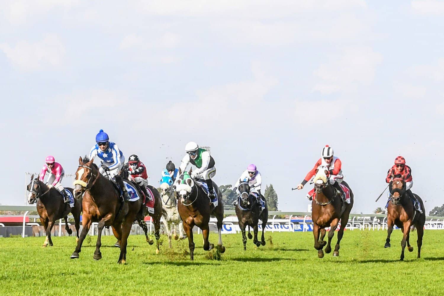War horse Gladatorian gets thumbs up for Summer Cup